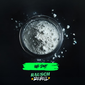 Weißes Pulver in einem transparenten Behälter mit dem Aufdruck 'NB-DMT' auf schwarzem Hintergrund.