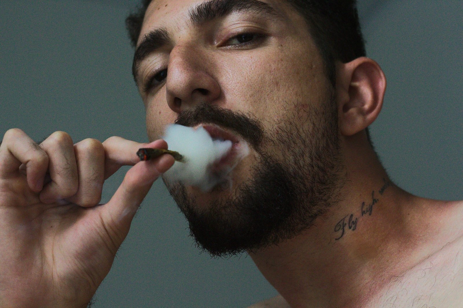 💀 DEAD MAN WALKING – Rauschrebell × LegalDreams