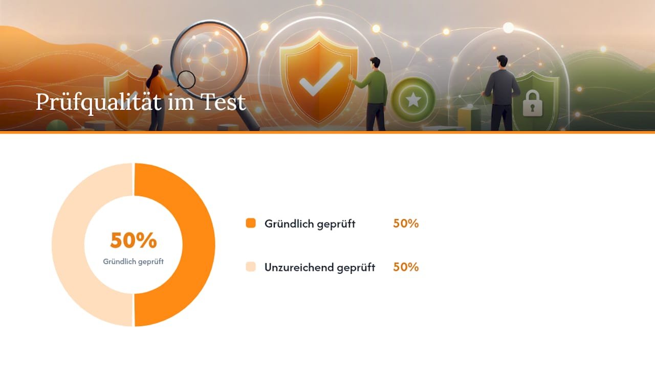 Was unabhängige Tests und Verbraucherschützer kritisieren — overview diagram